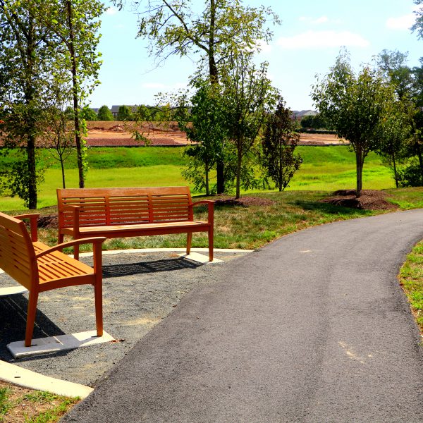 Naming-Opportunities-Bench